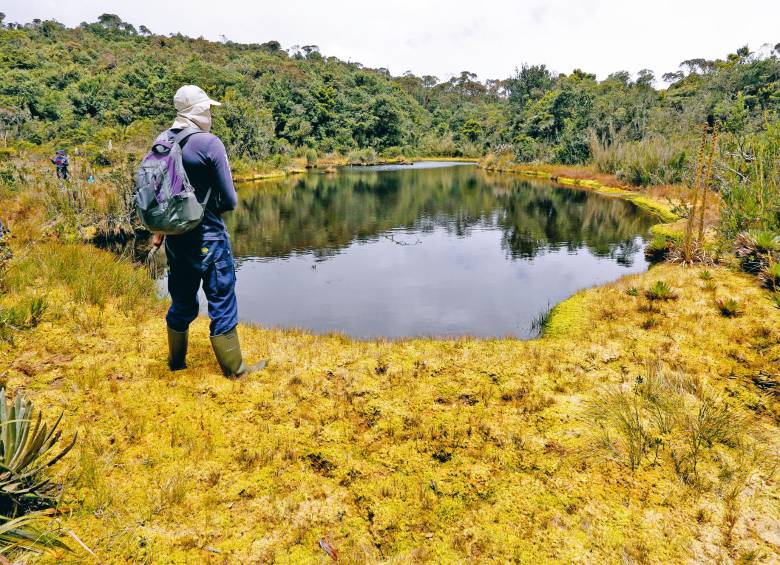 12 joyas para descubrir en Antioquia en 2023; ¿se le mide al reto?