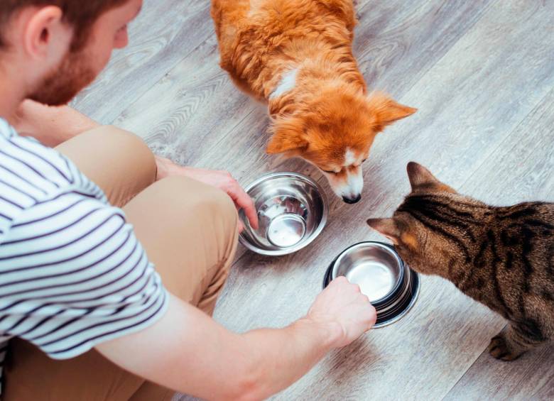 Solo las mascotas estadounidenses consumen tantas calorías de origen animal como toda la población francesa. Foto: SSTOCK