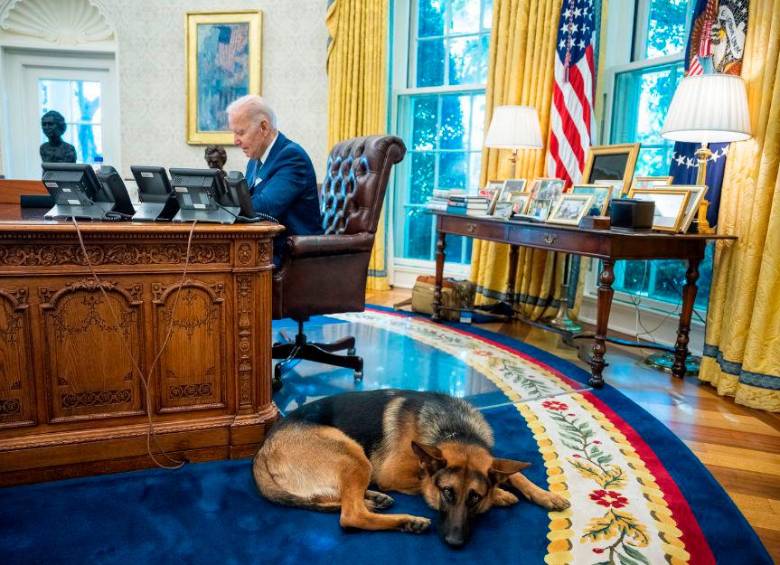 El lunes de la semana pasada Commander, el pastor alemán del presidente Joe Biden, mordió a un agente del Servicio Secreto de los Estados Unidos. FOTO CASA BLANCA