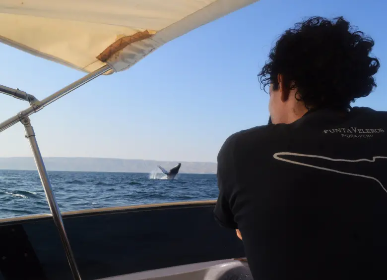 Alrededor de seis meses del año, Esteban se la pasa navegando por el mundo, aprendiendo y enseñando sobre la vida en las profundidades oceánicas.. FOTO Archivo personal Esteban Duque