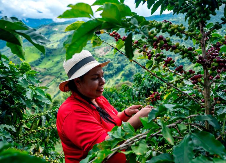 Chocafé María es uno de los emprendimientos acompañados por Interactuar en su proceso de fortalecimiento. Foto: cortesía.