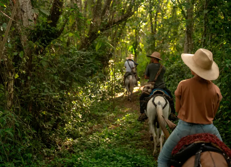Habrá varias rutas para apreciar la riqueza arqueológica y natural de este territorio. FOTO: CORTESÍA COMFAMA