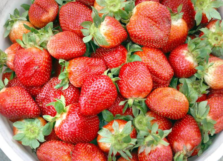 Cómo conservar las fresas