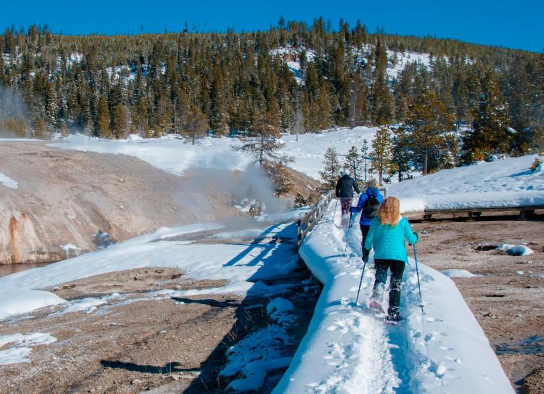 Parques como Yellowstone ofrecen actividades con guías para disfrutar de esta fría pero encantadora época del año. Foto: Shutterstock