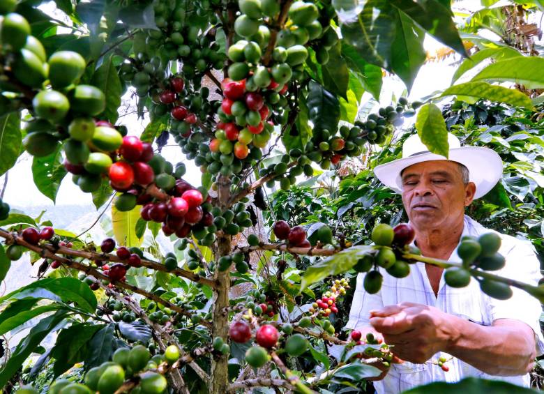 En los últimos diez meses, el precio de la carga casi se ha duplicado, pasando de $1.376.000 en enero a los $2.570.000 actuales. FOTO: Juan Antonio Sánchez