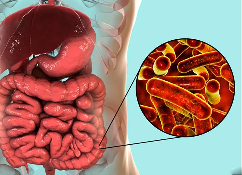 Esta familia bacteriana se transmitía entre niños de países con rentas bajas y medias, pero las cepas relacionadas con las relaciones sexuales han ido aumentando de forma constante desde el 2000. FOTO Cortesía. 