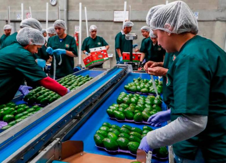 Antioquia representa más del 20% de las exportaciones nacionales. FOTO: ARCHIVO