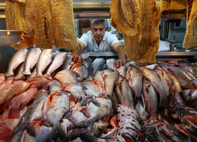 Comerciantes de pescado en la Plaza Minorista José María Villa, en Medellín, reportan menores ventas durante la Semana Santa, pese al aumento en la oferta y al crecimiento del consumo anual impulsado por la acuicultura. FOTOS manuel Saldarriaga