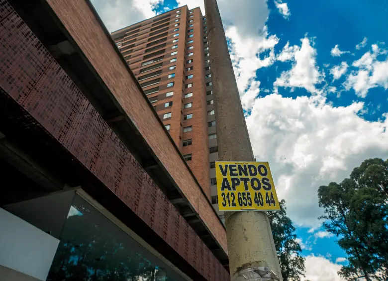 FOTO CAMILO SUÁREZ. 