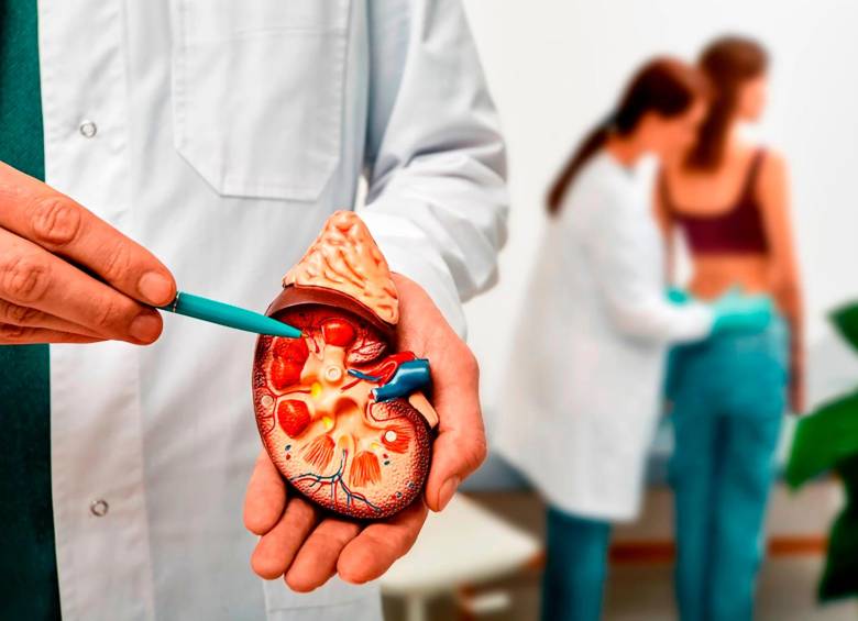 El daño al riñón se puede prevenir con exámenes de sangre y de orina y manteniendo estables condiciones médicas como la presión arterial alta, diabetes y enfermedades cardiacas. FOTO: GETTY