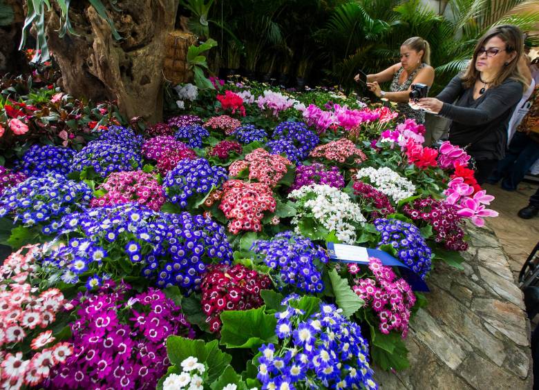 Este año Orquídeas, Pájaros y Flores será diferente