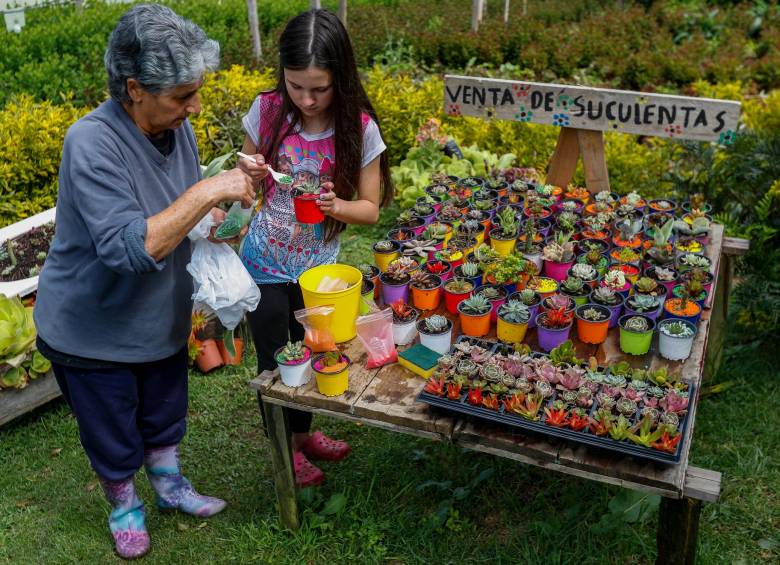 De los 140.000 empleos que espera generar la Gobernación de Antioquia, el 30 % deberá ser para las mujeres. Foto: Manuel Saldarriaga Quintero