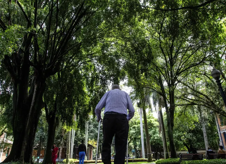 Uno de los visitantes del San Vicente Fundación bajo uno de los frondosos árboles. Foto: Julio César Herrera Echeverri
