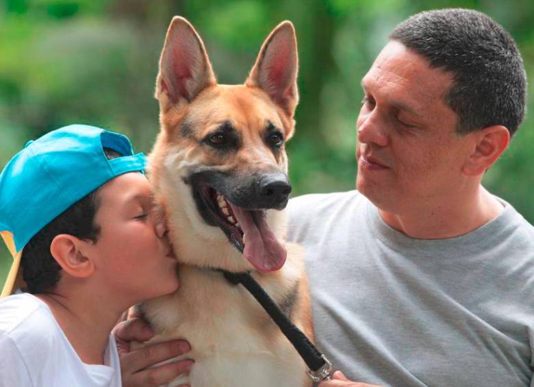 La etología y lo que nos enseñan los animales de su comportamiento 