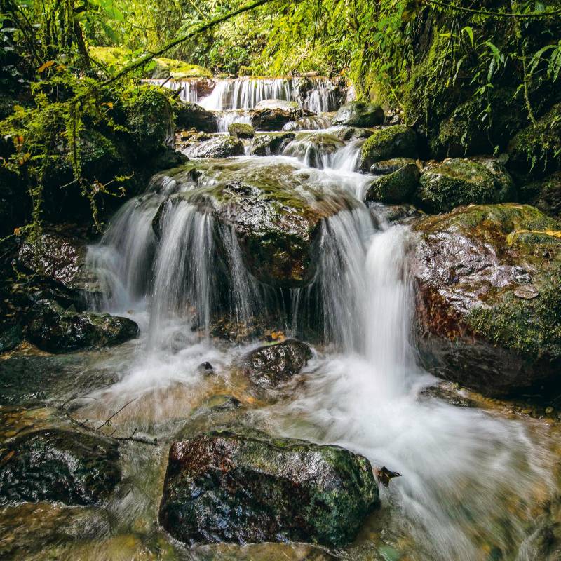 Reserva Natural El Romeral en el municipio de La Estrella. Área protegida estratégica para el Valle de Aburrá al abarcar más de cinco mil hectáreas de bosque, cascadas y montañas. Foto: Edwin Bustamante. Archivo El Colombiano