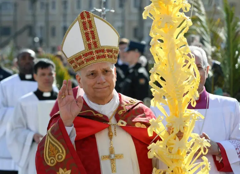 Papa León en la misa del Domingo de Ramos.