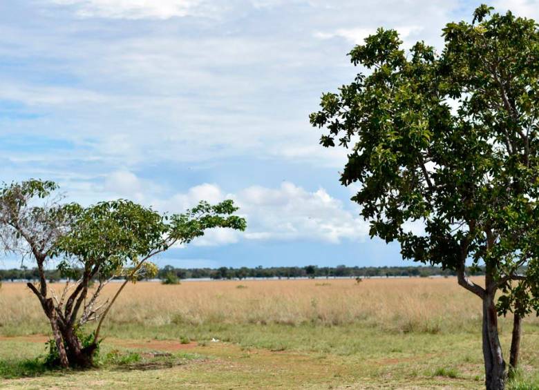 La reserva Bojonawi, a orillas del río Orinoco, es un refugio de vida silvestre en el Vichada que alberga diversas especies amenazadas, incluidos 33 tipos de murciélagos. FOTO Cortesía de Juan Diego Ariza López