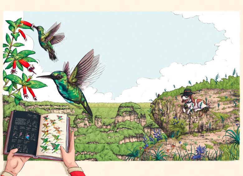 Ilustración de “Biblioperrito lee guías de aves” , un libro de Andrés Barragán, Sergio Chaparro y Sebastián Calderón. Imagen: Cortesía
