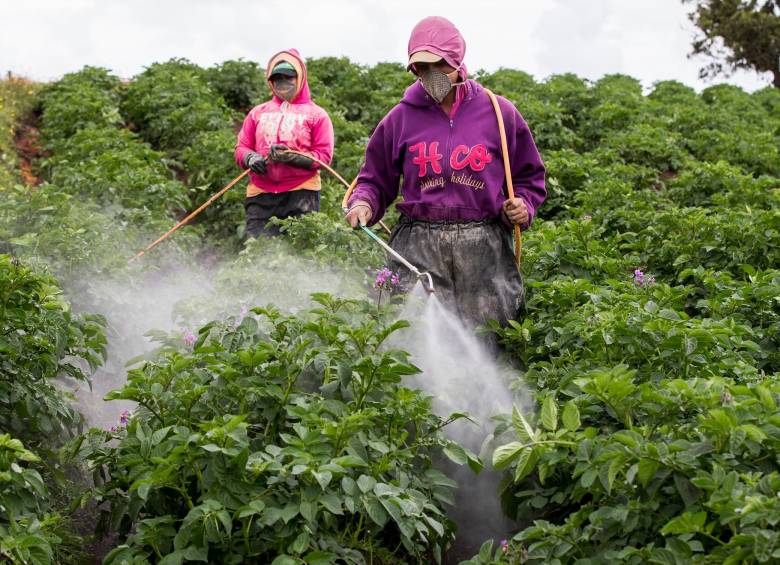 Los fertilizantes representan el 55% de los insumos demandados por el sector agrícola. Foto: Jaime Pérez 