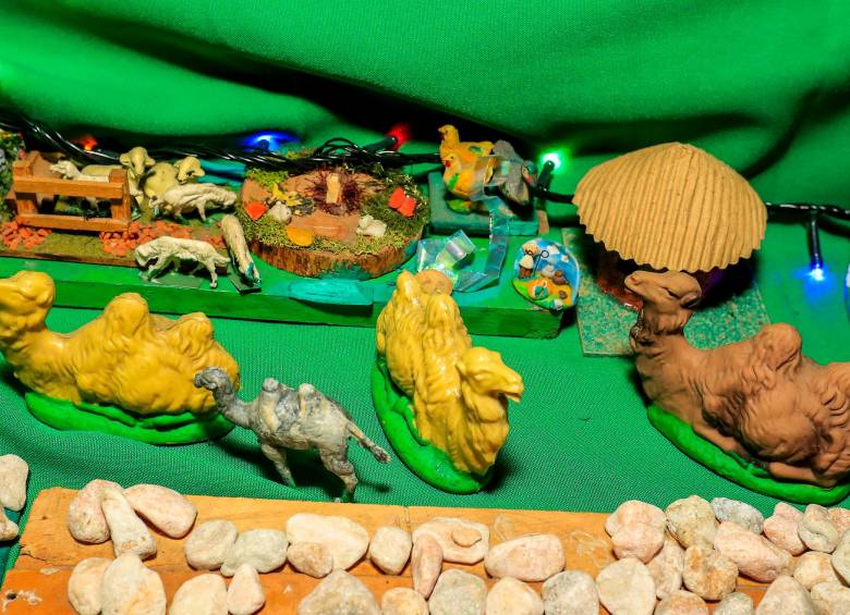 Camellos, y un camino de piedra creado por don Rafael para su pesebre. FOTO Jaime Pérez