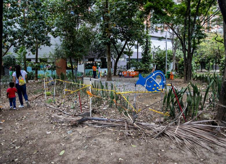 La Alcaldía de Daniel Quintero le quitó el cuidado de los jardines de la ciudad al Jardín Botánico para dárselo a una empresa ligada a un político liberal del suroeste antioqueño.