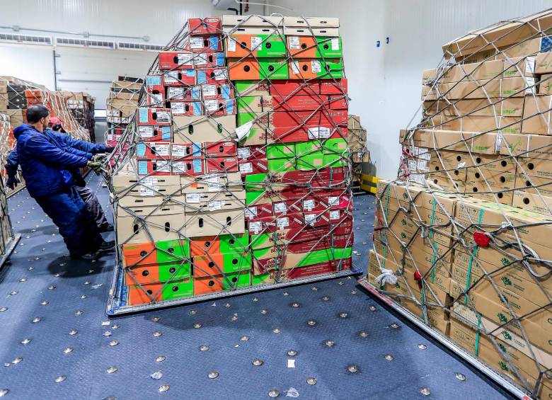 Las flores hacen parte de los productos que más vende Colombia en Estados Unidos. FOTO Jaime Pérez