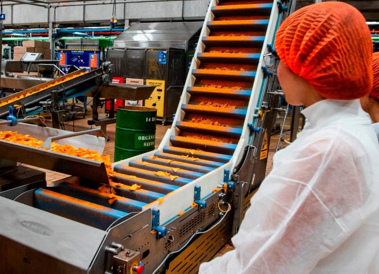 La operación de PepsiCo en Colombia está vinculada con el campo: la compañía compra cerca de 90.000 toneladas de papa industrial y más de 24.000 toneladas de plátano al año. FOTO JULIO HERRERA