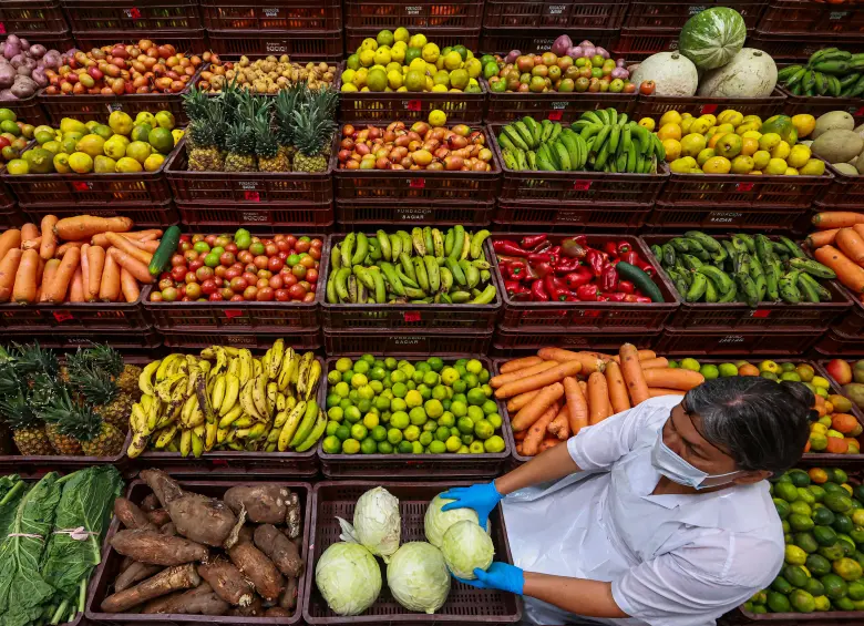 En el estudio participaron más de 400.000 personas de entre 37 y 70 años de Italia, España, Reino Unido, Alemania, Países Bajos y Dinamarca. Foto Manuel Saldarriaga. 