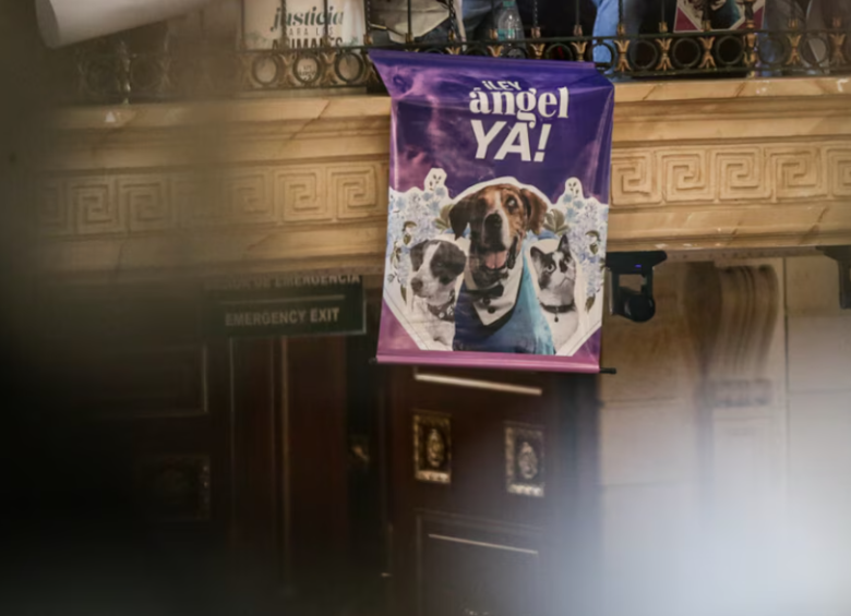 La Ley Ángel fue expedida el 18 de abril de 2025 y lleva el nombre de un perro víctima de crueldad. FOTO: Colprensa