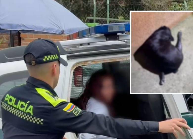 La mujer, de 39 años, será procesada por el delito de maltrato animal, luego de que se conociera del ataque en contra del canino en San Antonio de Prado. FOTOS: CORTESÍA-POLICÍA METROPOLITANA