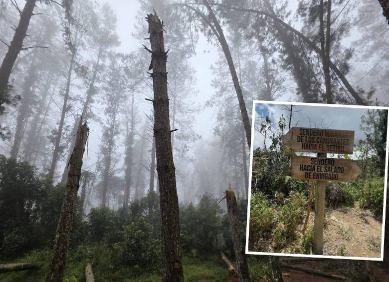 Las víctimas de este hurto llevaban varias horas de recorrido por las zonas verdes de la reserva San Sebastián de la Castellana cuando tres hombres armados los interceptaron y les quitaron celulares, dinero y herramientas que llevaban para facilitar su caminata. FOTOS: CORTESÍA