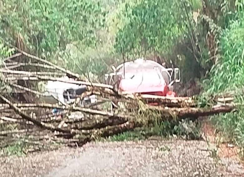 Esta fue una caída de árboles que se registró tras el vendaval en la vía Medellín - Andes. FOTO: Cortesía Conexión Sur