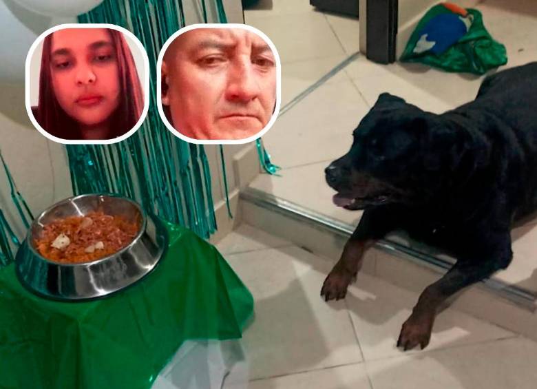 La veterinaria Daniela Montes Tapia (detalle, izquierda) y Luis Fernando Galvis Blanco (detalle, derecha) fueron procesados por la muerte del perro, llamado Aquiles (foto principal) dentro de una vivienda del barrio Popular, de Medellín. FOTOS: CORTESÍA