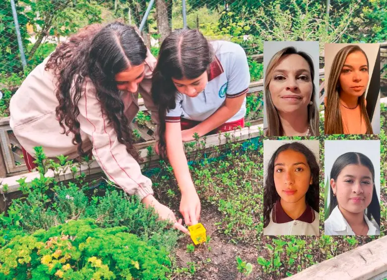 Con la huerta que tienen en la Institución Educativa Rural Dolores e Ismael Restrepo se ha fortalecido el aprendizaje de matemáticas en este colegio. Por este proyecto irán a Dubái las docentes (arriba) Mónica Alejandra Castaño Cuervo (izq.) y Yulieth Mileydi Franco Rendón (der.) y las estudiantes (abajo) Isabela Suárez Buitrago (izq.) y Guadalupe Buitrago Marín (der.). FOTOS CORTESÍA