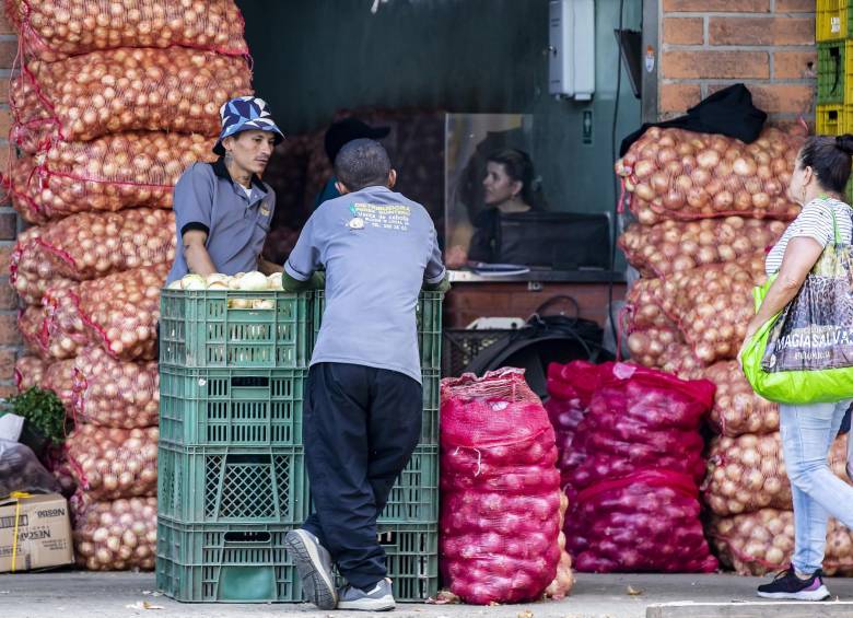 Hay pocas recolecciones en las zonas de cosecha y bajos volúmenes de ingreso a La Mayorista. FOTO: Jaime Pérez