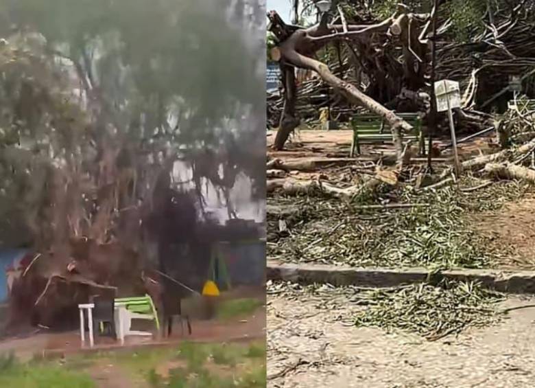 El fenómeno meteorológico que azotó a varios municipios de Sucre y Córdoba durante la noche del sábado dejó daños en viviendas, vías y redes eléctricas, además de una víctima mortal. FOTO: redes sociales/tiktok. 