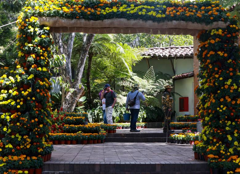 El Jardín Botánico de Medellín inauguró su primer jardín efímero inspirado en el Día de los Muertos. FOTO Manuel Saldarriaga