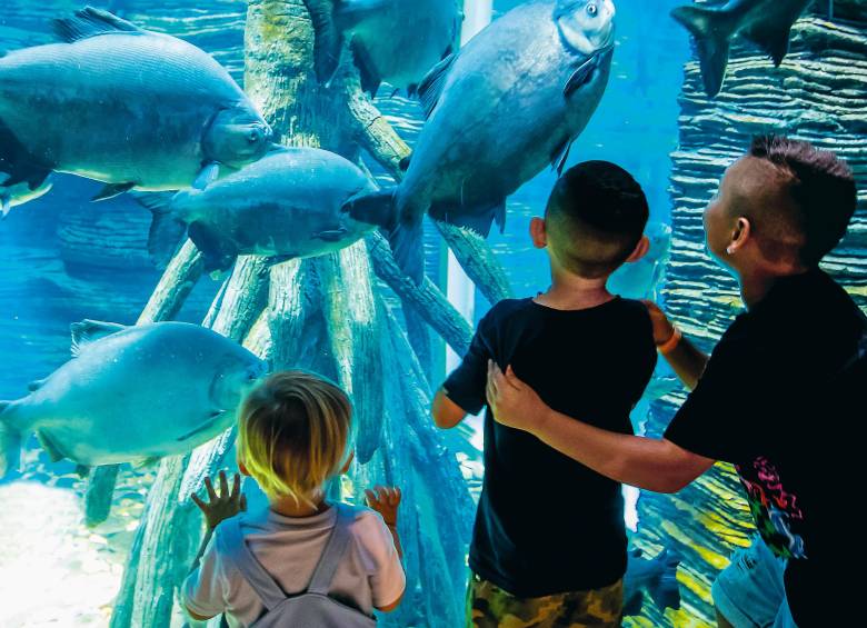 Los niños y sus familias disfrutan de las actividades en el Parque Explora de Medellín. FOTO: Jaime Pérez. 