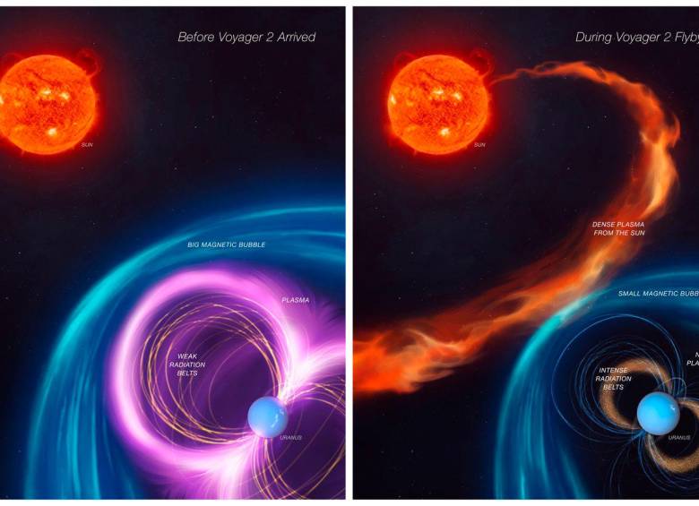 Análisis de la misión Voyager 2 de la Nasa reveló nuevos secretos sobre la enigmática magnetosfera de Urano