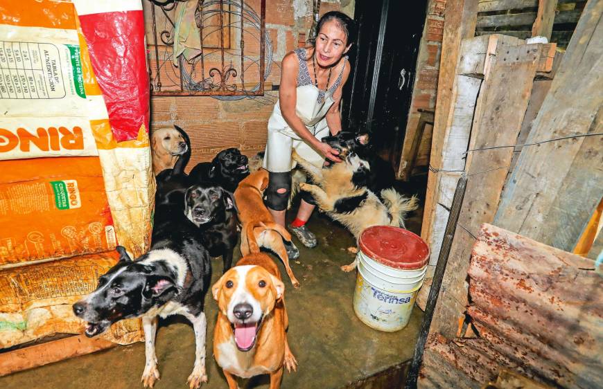 Margarita aún llora el asesinato a machetazos de dos de sus 83 perros
