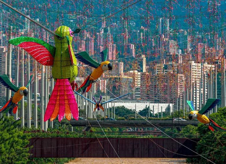 Los alumbrados de 2025 tendrán figuras relacionadas con la fauna y la flora característica de Antioquia, de acuerdo con las figuras vistas en el corredor del río Medellín. FOTOS: MANUEL SALDARRIAGA