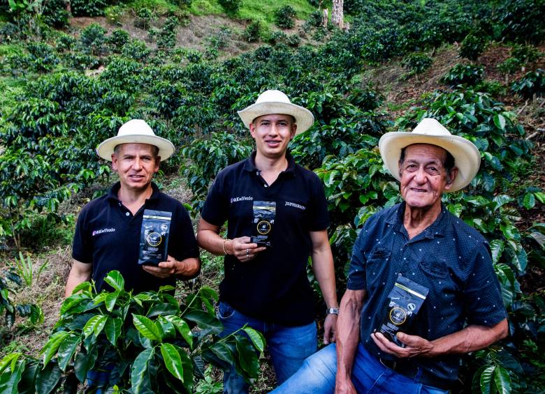 En la finca de Comunidad, practican la agricultura regenerativa y siembran variedades de café como la Catuaí, la Geisha o el Borbón Rosado. FOTO JULIO CÉSAR HERRERA