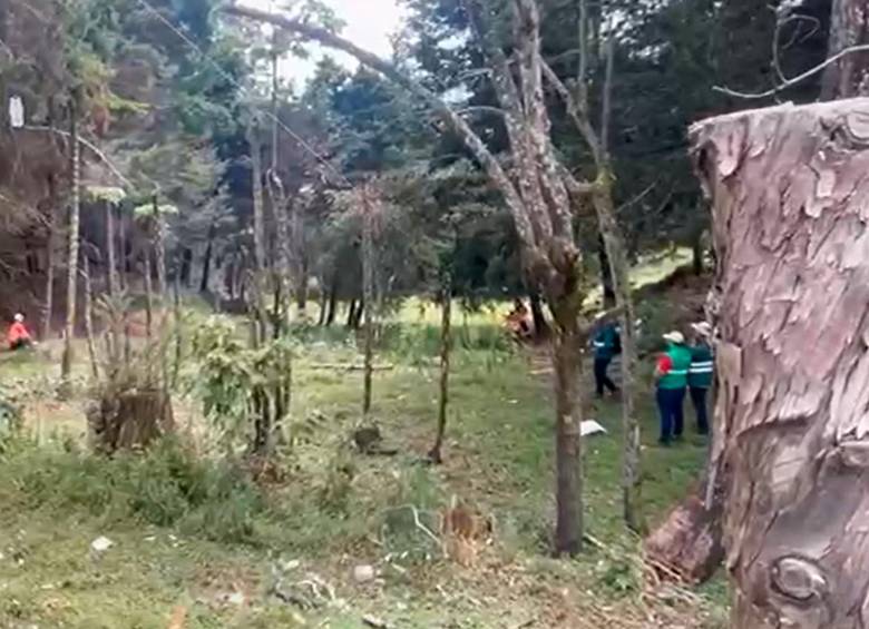 El viernes pasado se dio un rifirrafe entre habitantes de la vereda San Ignacio y quienes cortaban los árboles. FOTO: TOMADA DE VIDEO