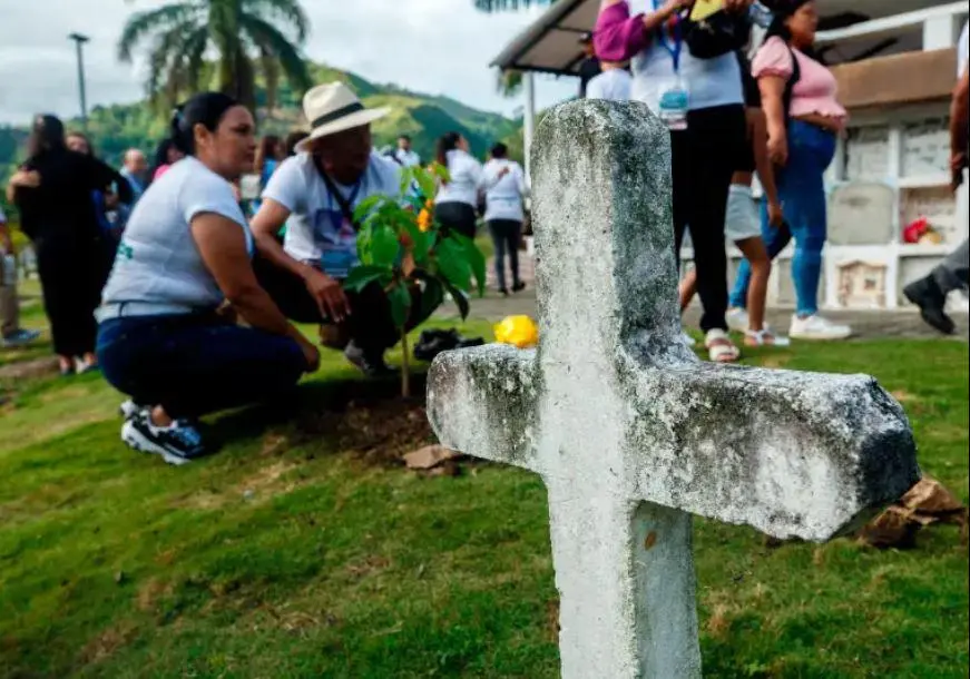 En el cementerio de Dabeiba fueron sembrados tres guayacanes en memoria de las víctimas desaparecidas e inhumadas en el cementerio de ese municipio. FOTO: Camilo Suárez.