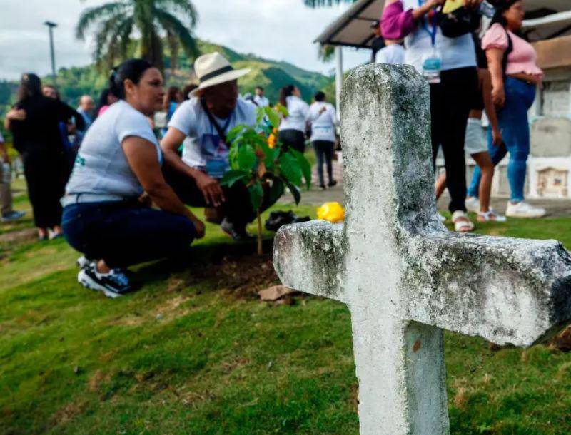 En el cementerio de Dabeiba fueron sembrados tres guayacanes en memoria de las víctimas desaparecidas e inhumadas en el cementerio de ese municipio. FOTO: Camilo Suárez.