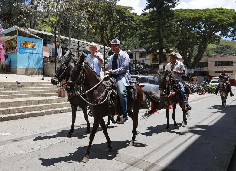 Gracias a la Ley Bartolo, Titiribí fue reconocida como la capital de Mundial de la Mula de Silla. Foto: Manuel Saldarriaga Quintero.