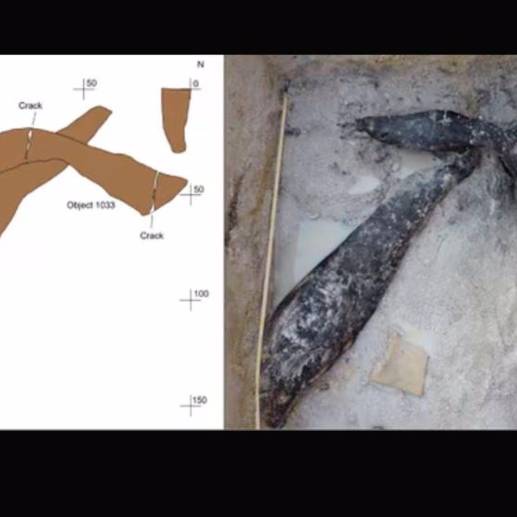 Las marcas en los troncos muestran que fueron cortados, picados y raspados con herramientas de piedra encontradas en el sitio. Foto BANHAM ET AL, NATURE (2023). Cortesía Europapress