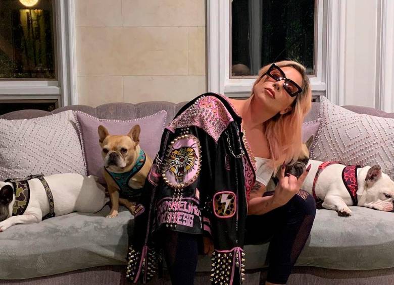 Lady Gaga ofreció una recompensa de 500.000 dólares por el rescate de dos de sus tres perros. La mujer que entregó a los animales fue acusada de complicidad con los raptores. FOTO: TOMADA DE INSTAGRAM @ladygaga