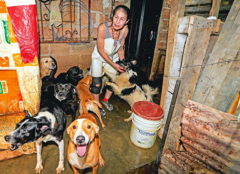 Margarita aún llora el asesinato a machetazos de dos de sus 83 perros