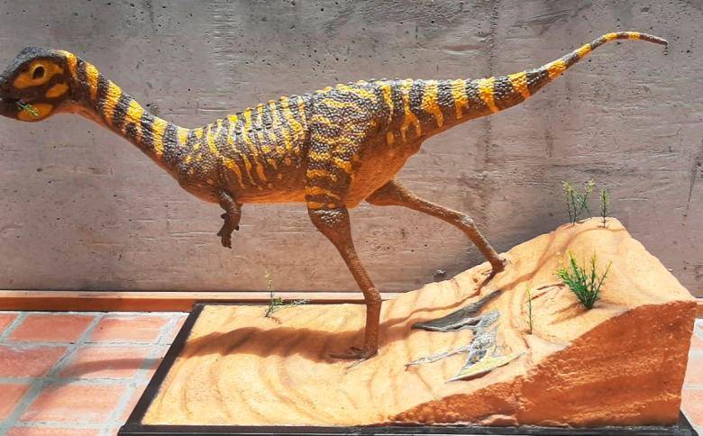 En el Museo Nacional de Río de Janeiro construyeron una réplica de la especie. FOTO MUSEO NACIONAL RÍO DE JANEIRO